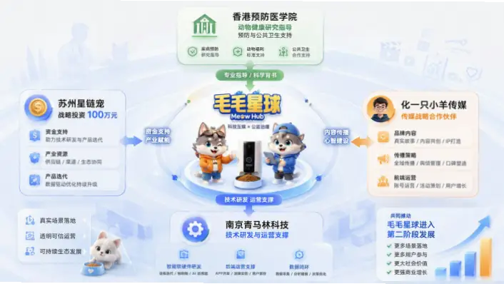 星球体育：核心服务与功能介绍